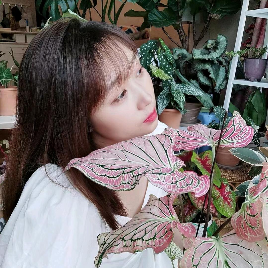 Miss.福子的温馨小屋