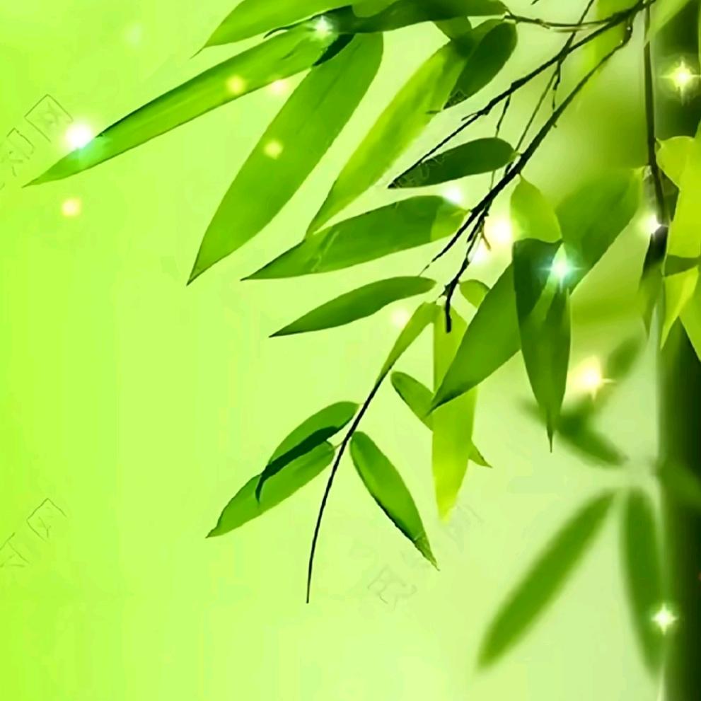 依依