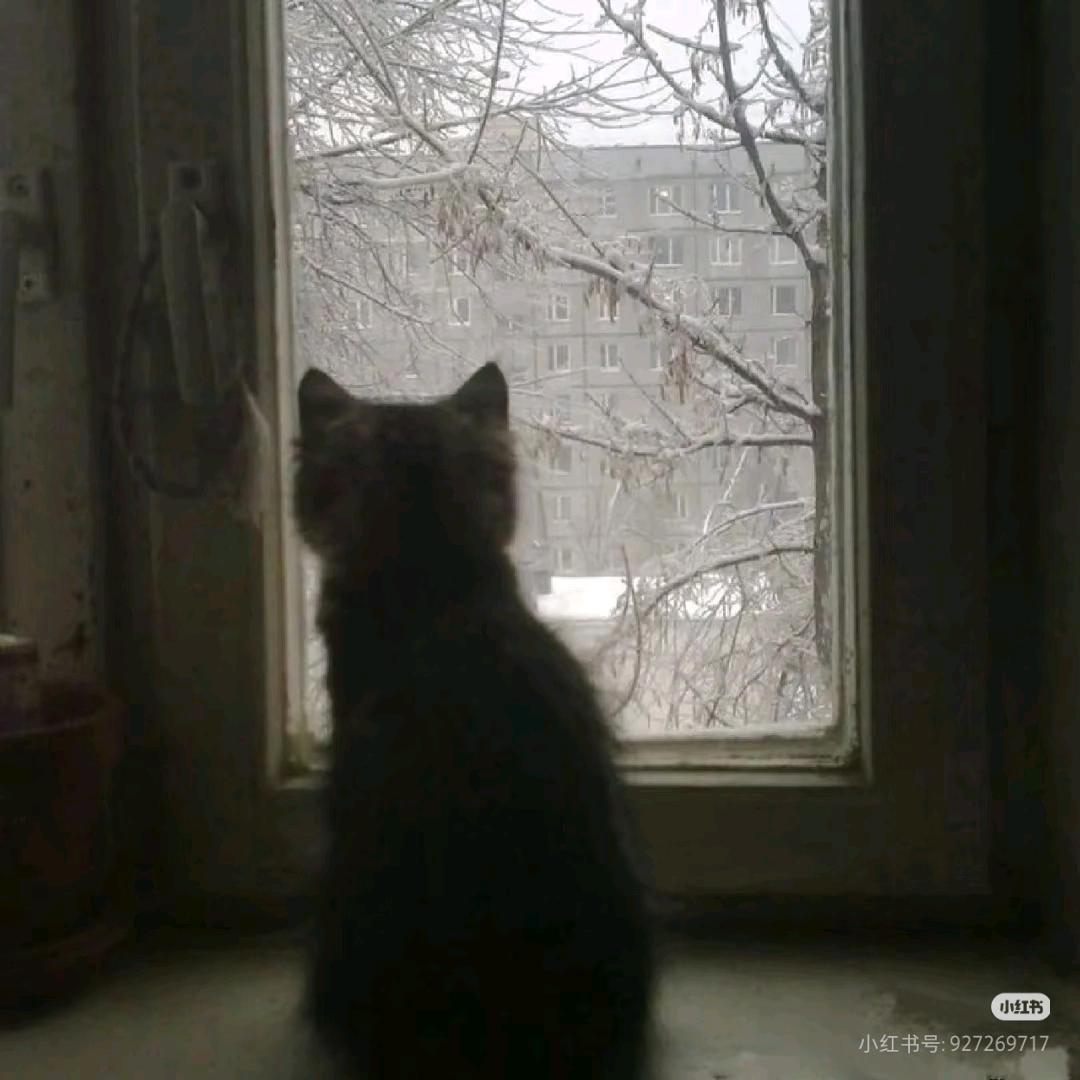 晚风(超级喜欢豆包包)