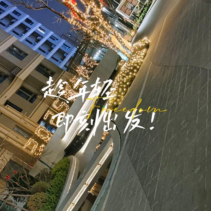 龙哥