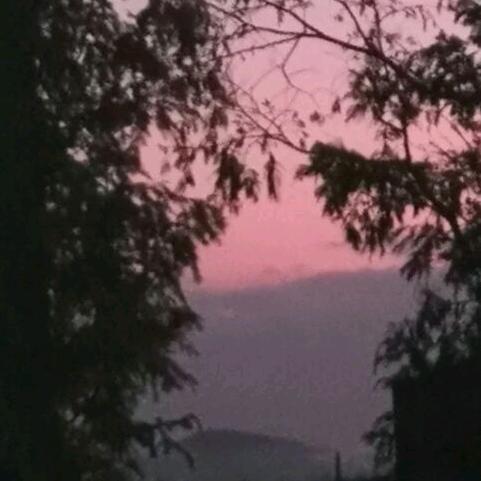 雾里看花