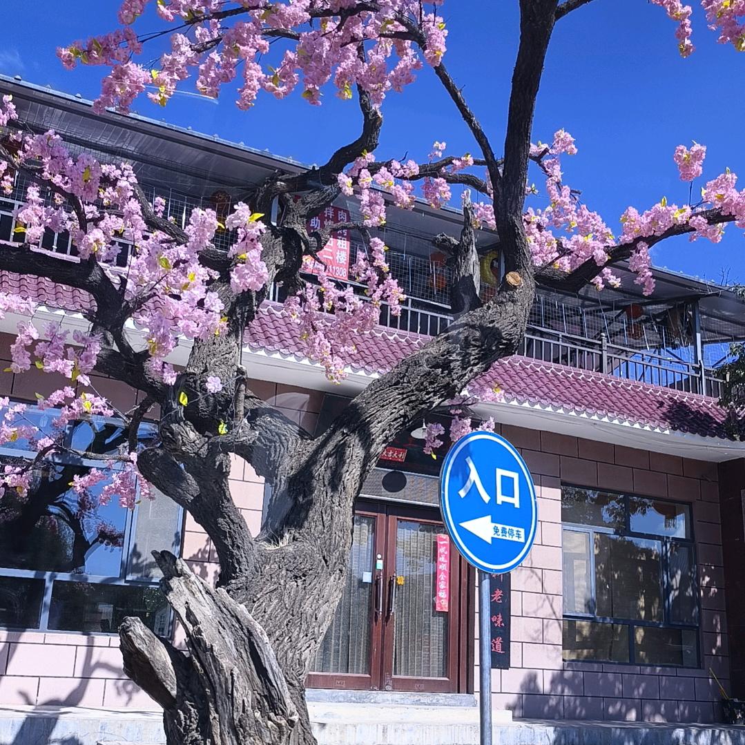 张张自喜