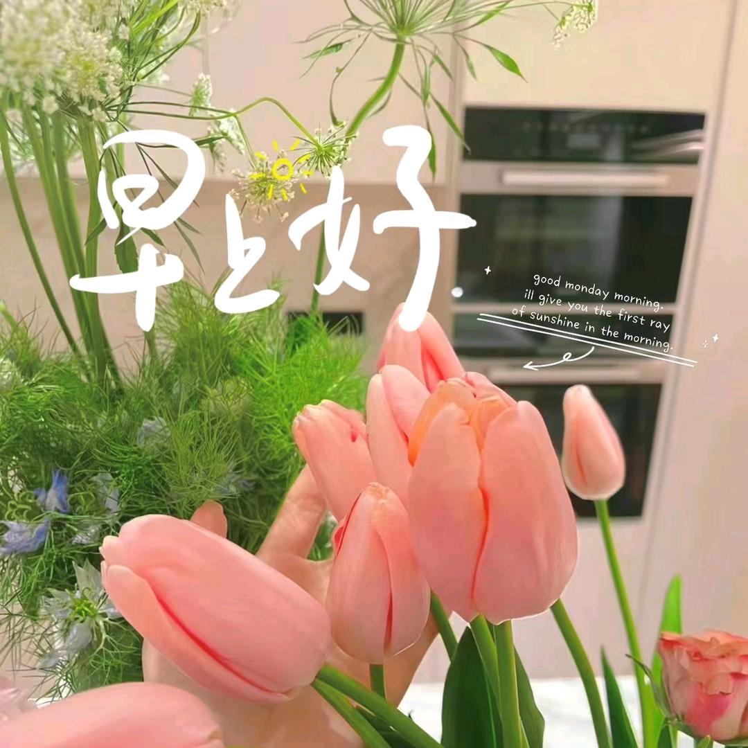 搜罗好物集市