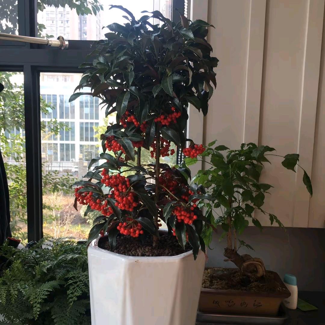 70后的我