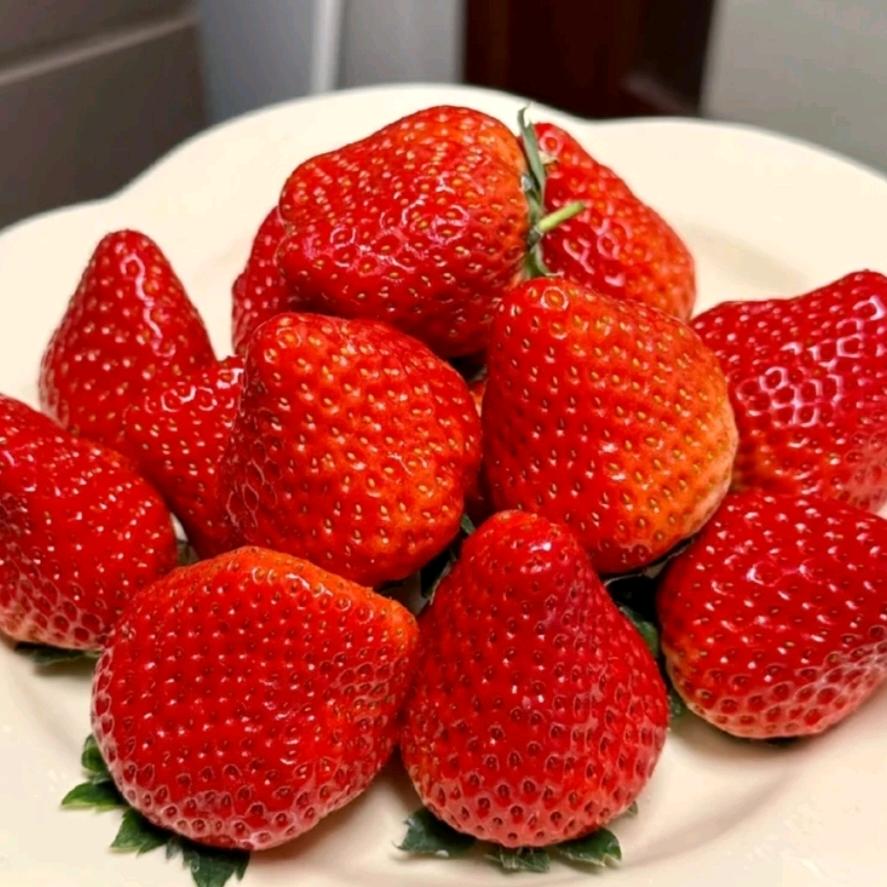 保定（小溜达）