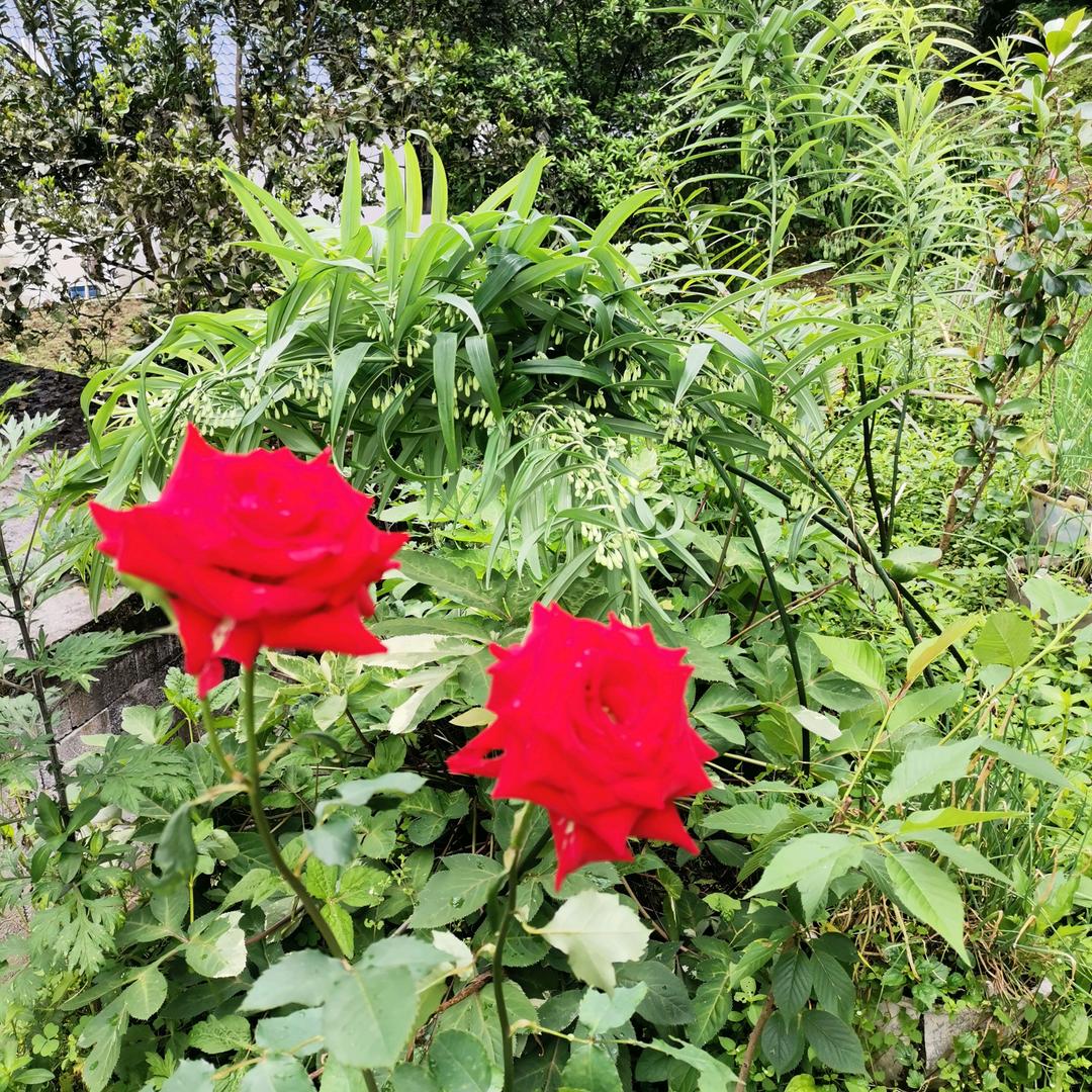 快乐人生😊😊