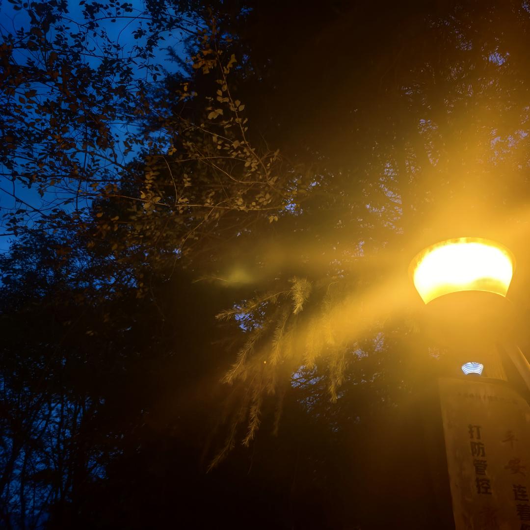 A向阳🌞而生❤️