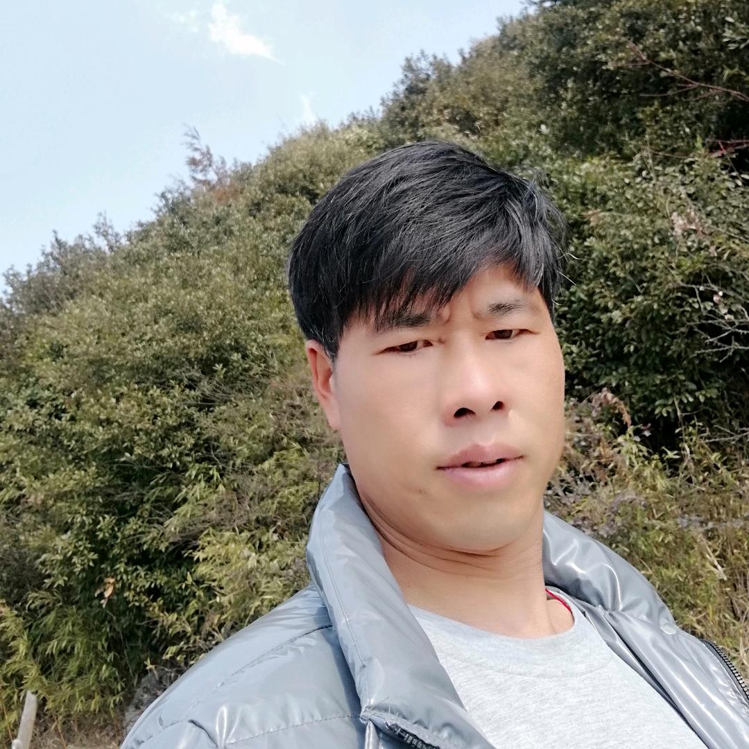 忘不掉你
