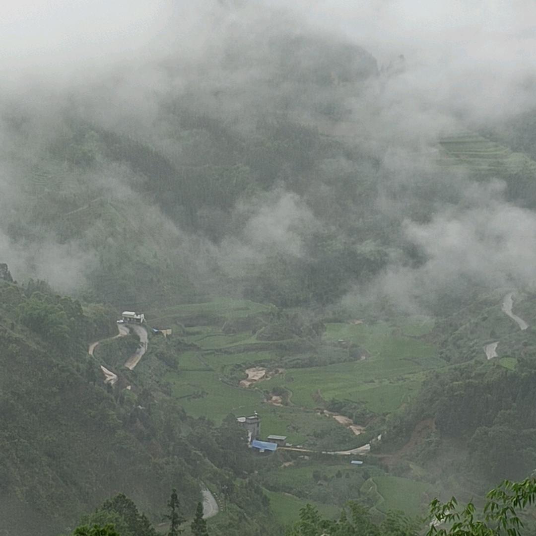 修地哥