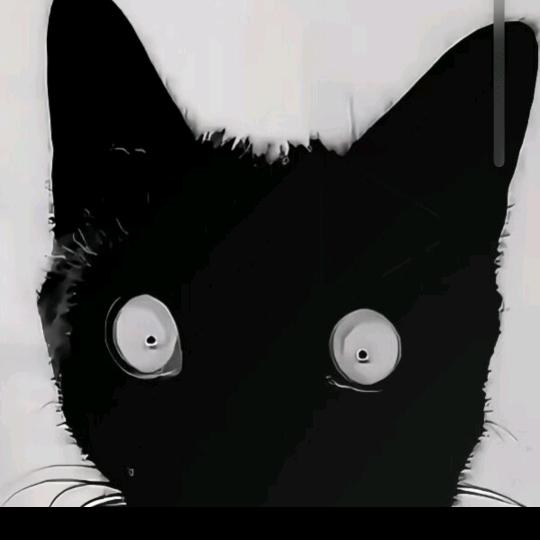 若前方无路，我就踏出一条路。