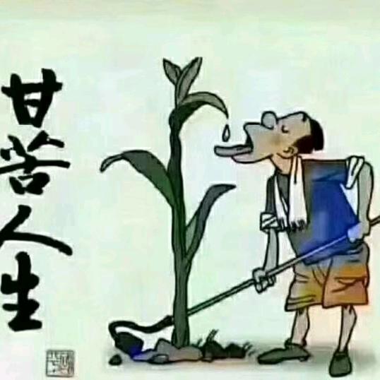 珍惜