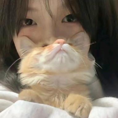 归雁🦄