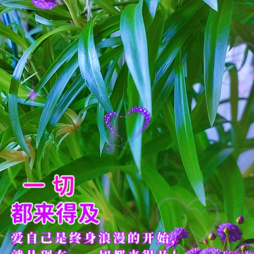 开🌸