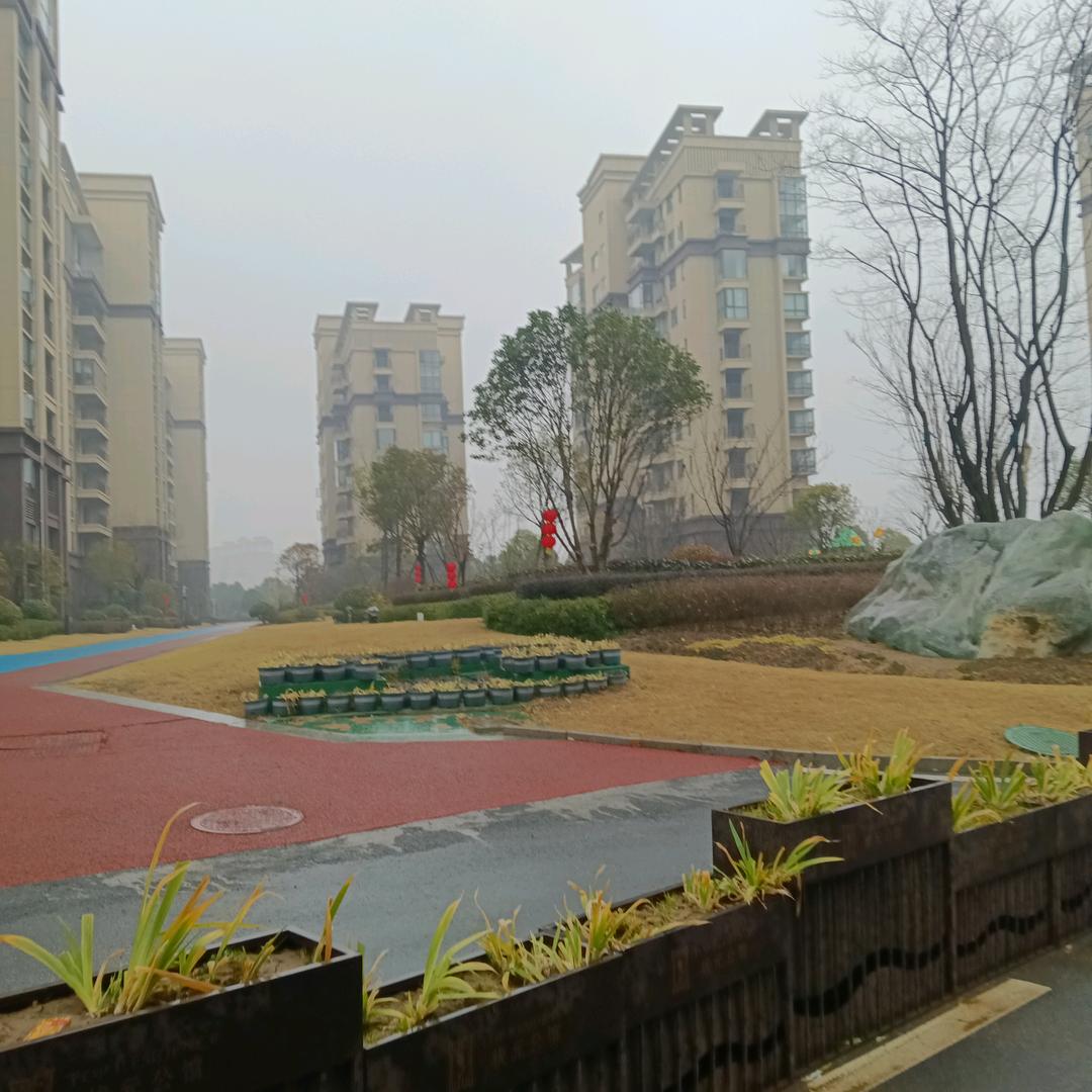 🌹🌹新想事成