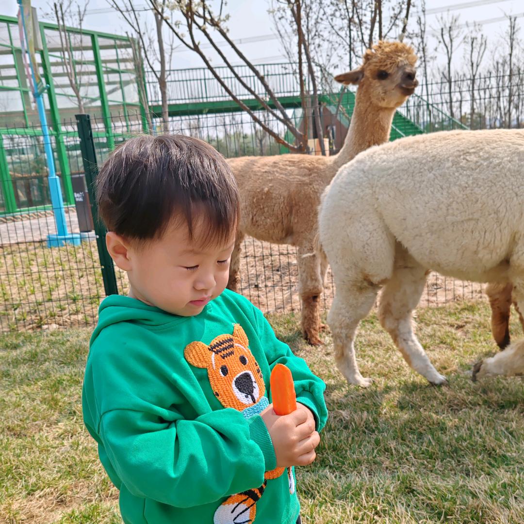 小娇姐（首播晚11:10）