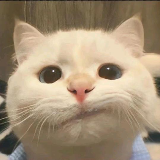 汉堡包