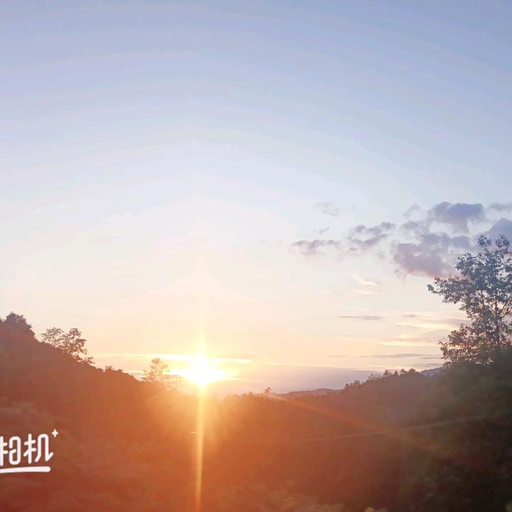 独角戏🌹🌹