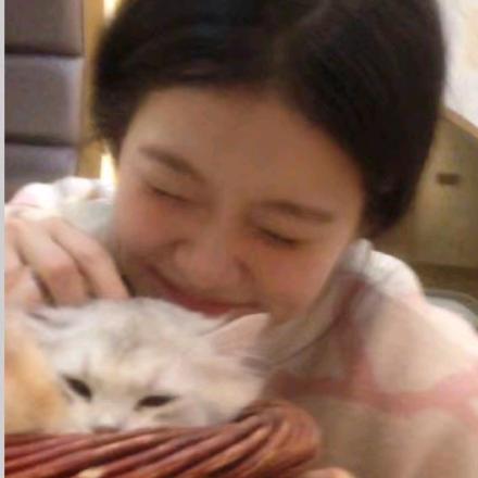 泡泡肥猫.