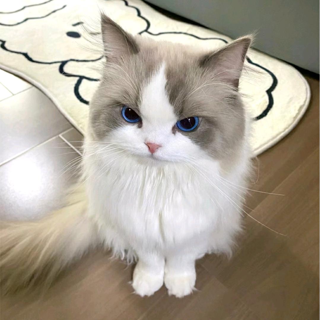 松锁