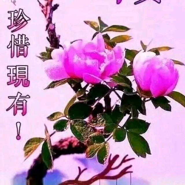 明天更好(*´I`*)