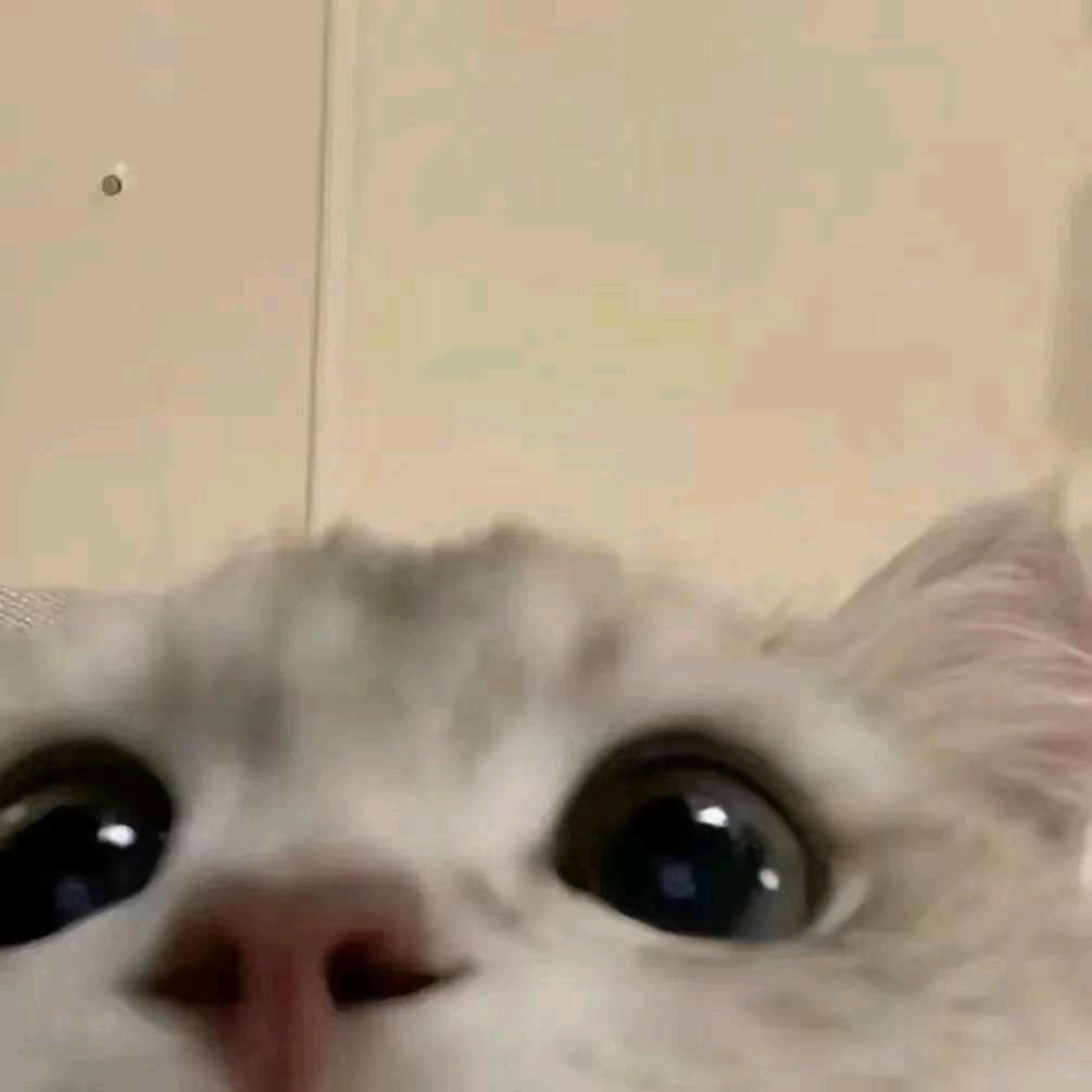 啾啾