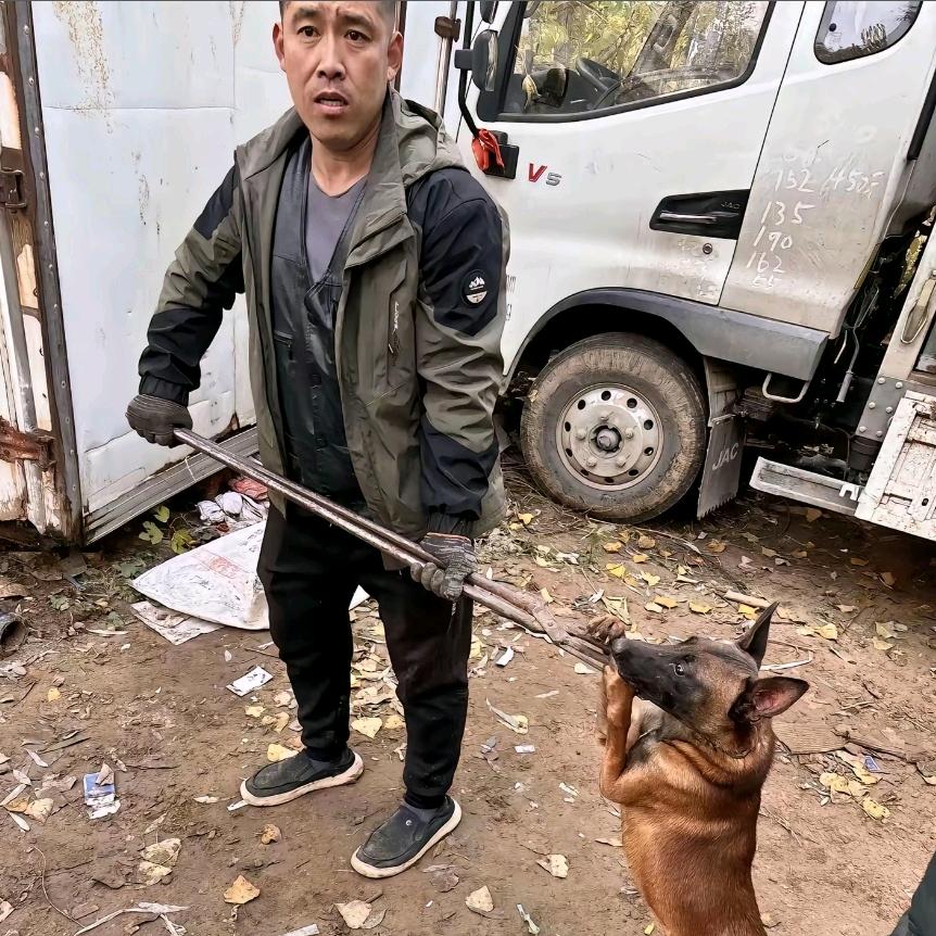 A专业套狗10年雷师傅
