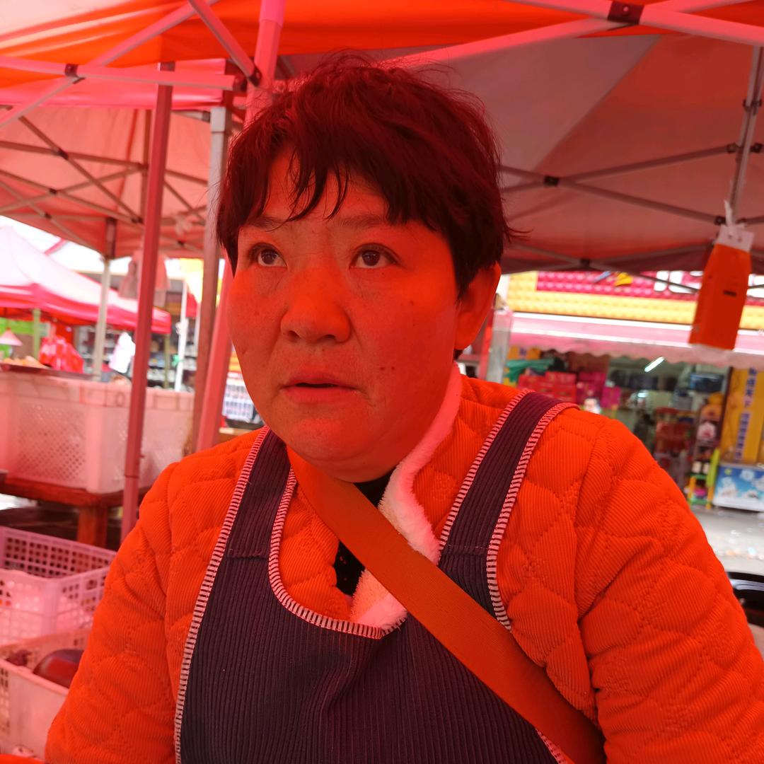 正宗酸汤豆腐
