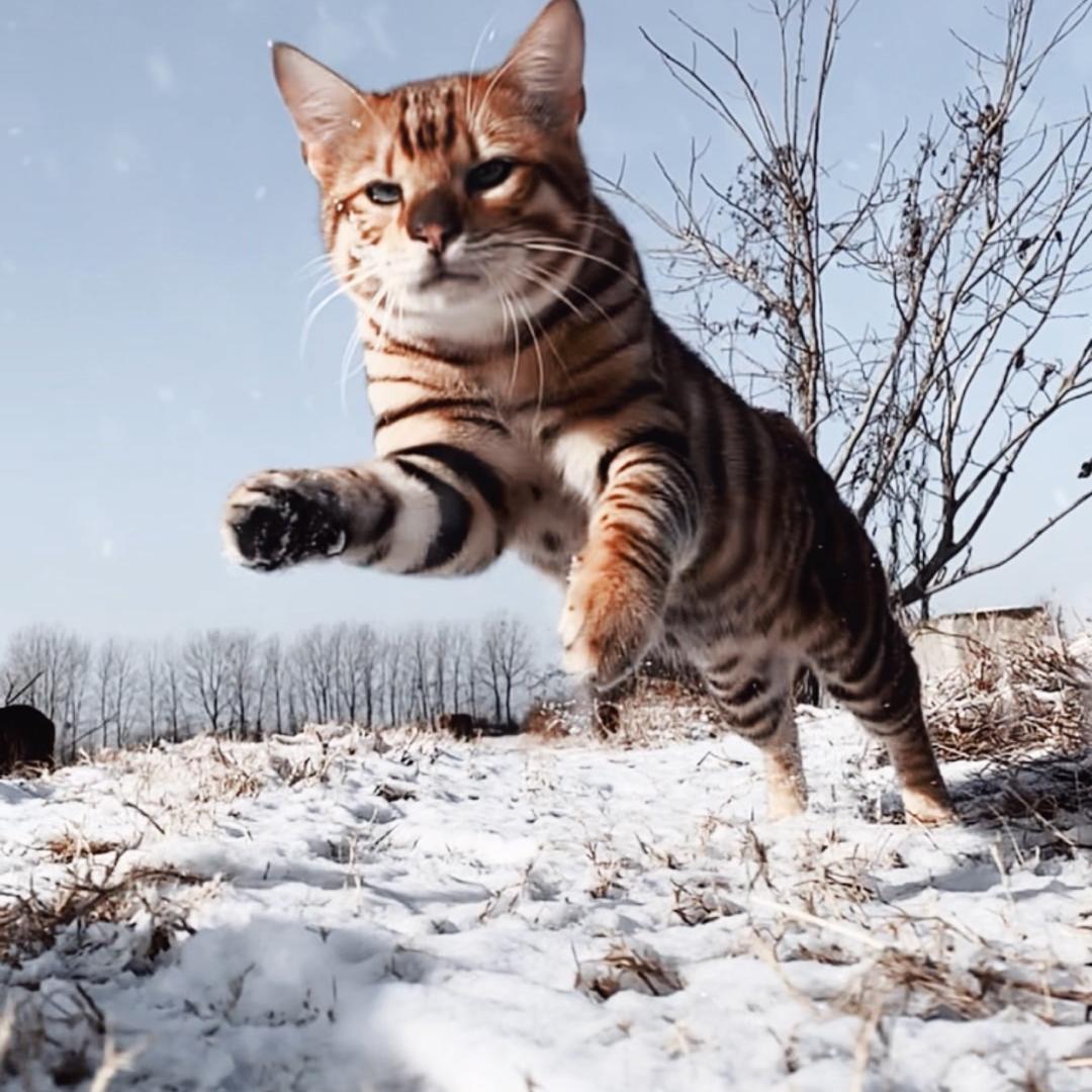 💦妞妞💗༺༻