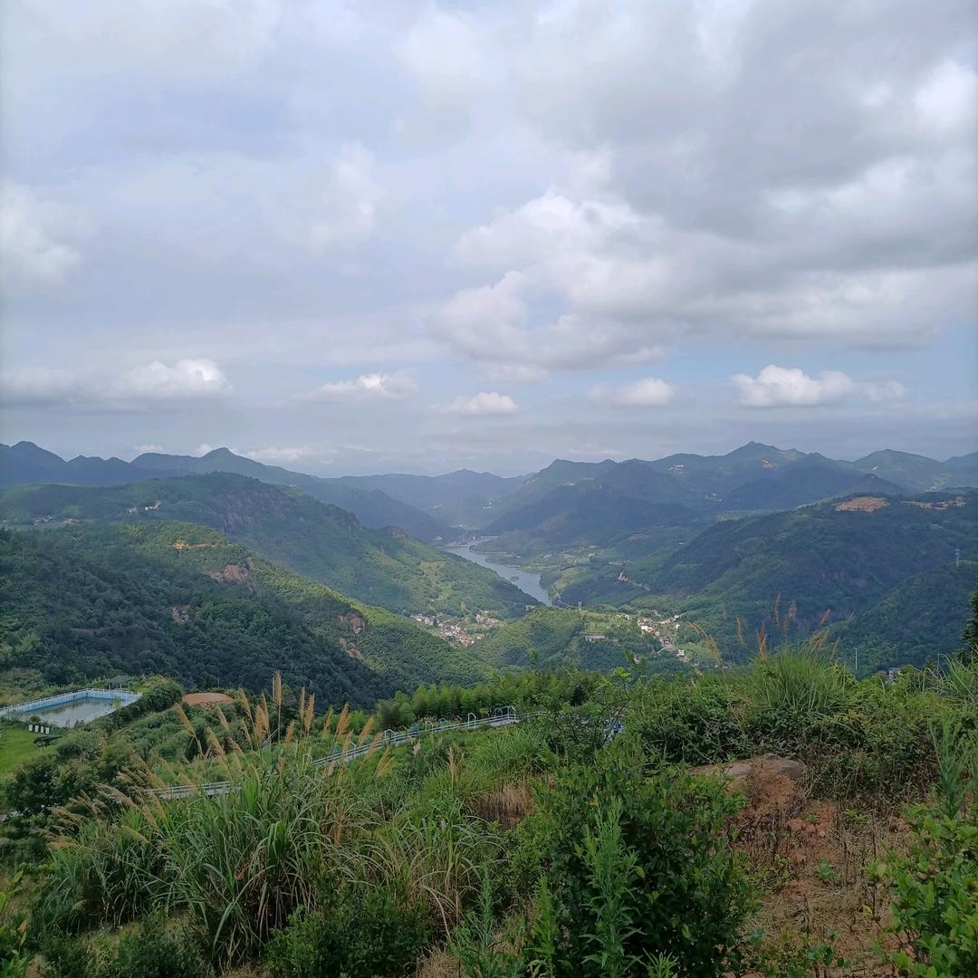 保成