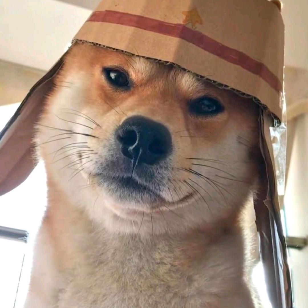 海河虾米🇨🇳