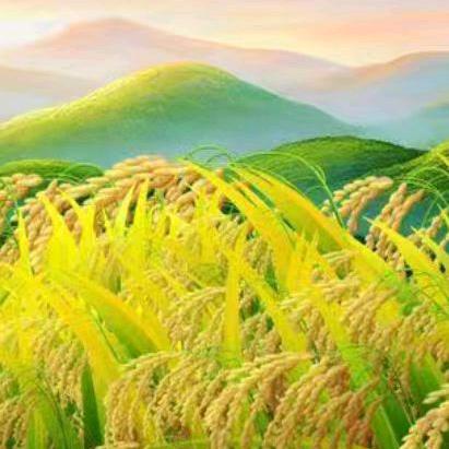 幸福人生