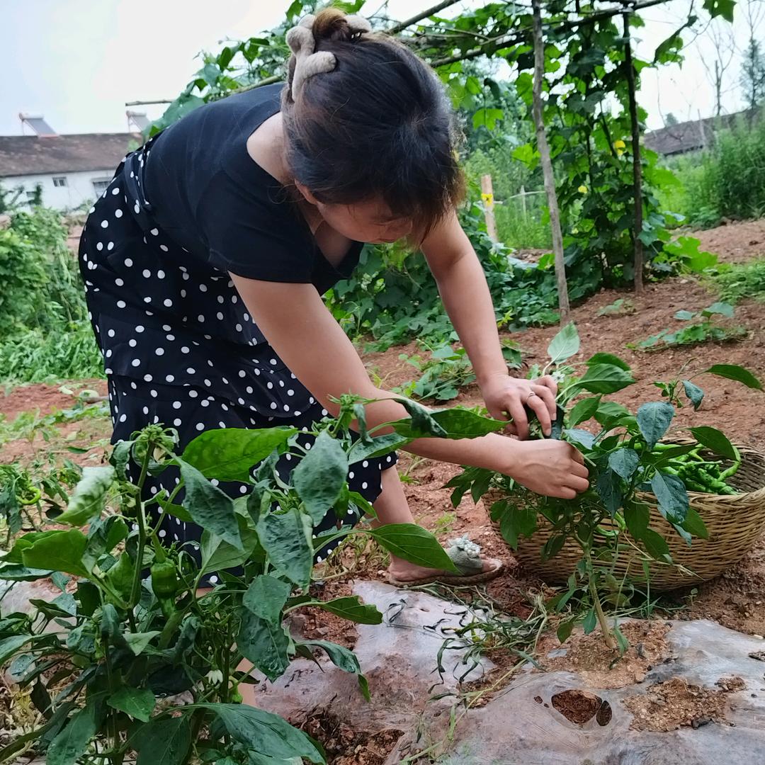 襄阳花香弘农家果蔬