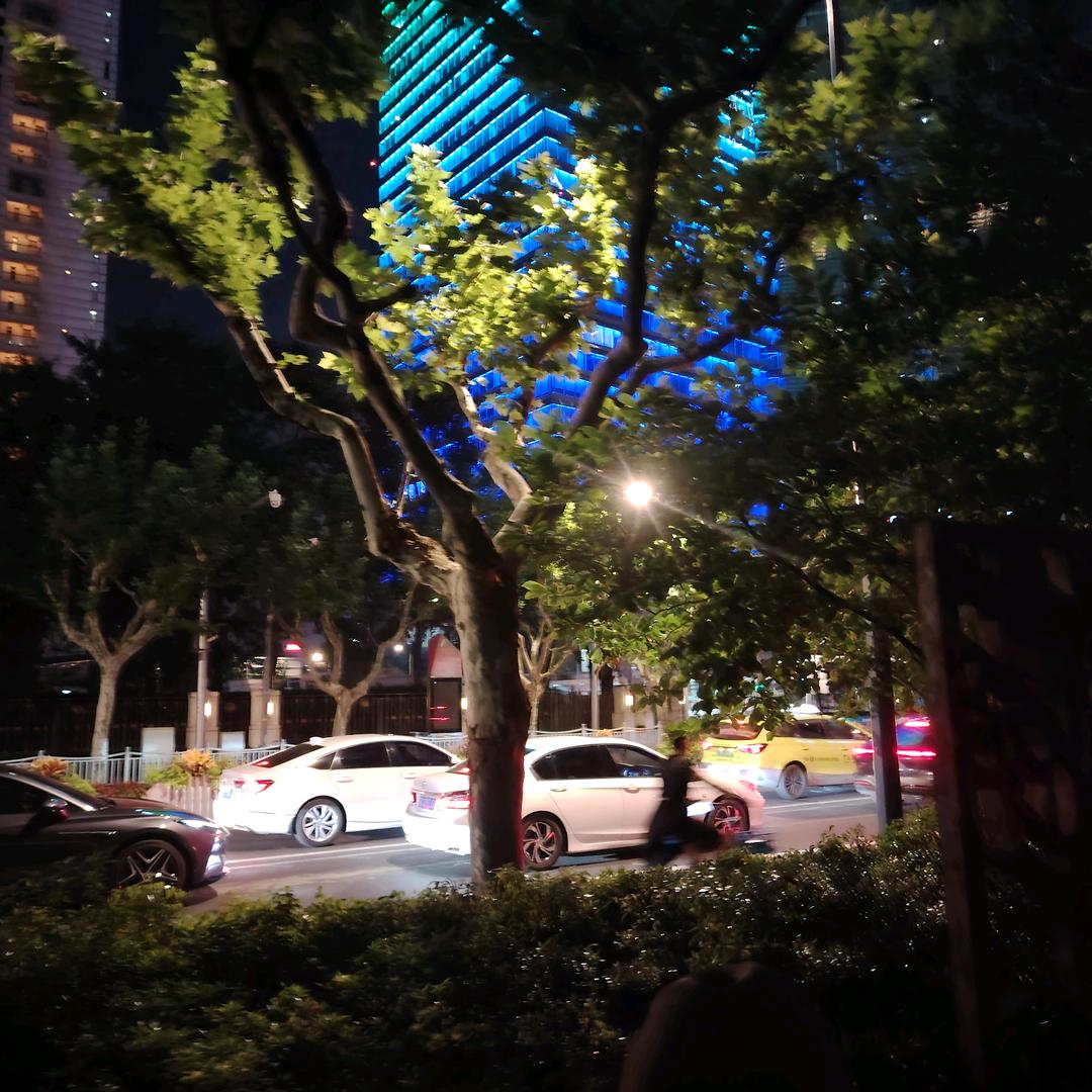 🌼🌼向阳而生🌹🌹