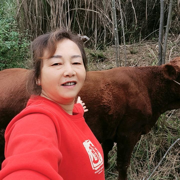 买牛肉提前预约（平凡岁月不定时直播）