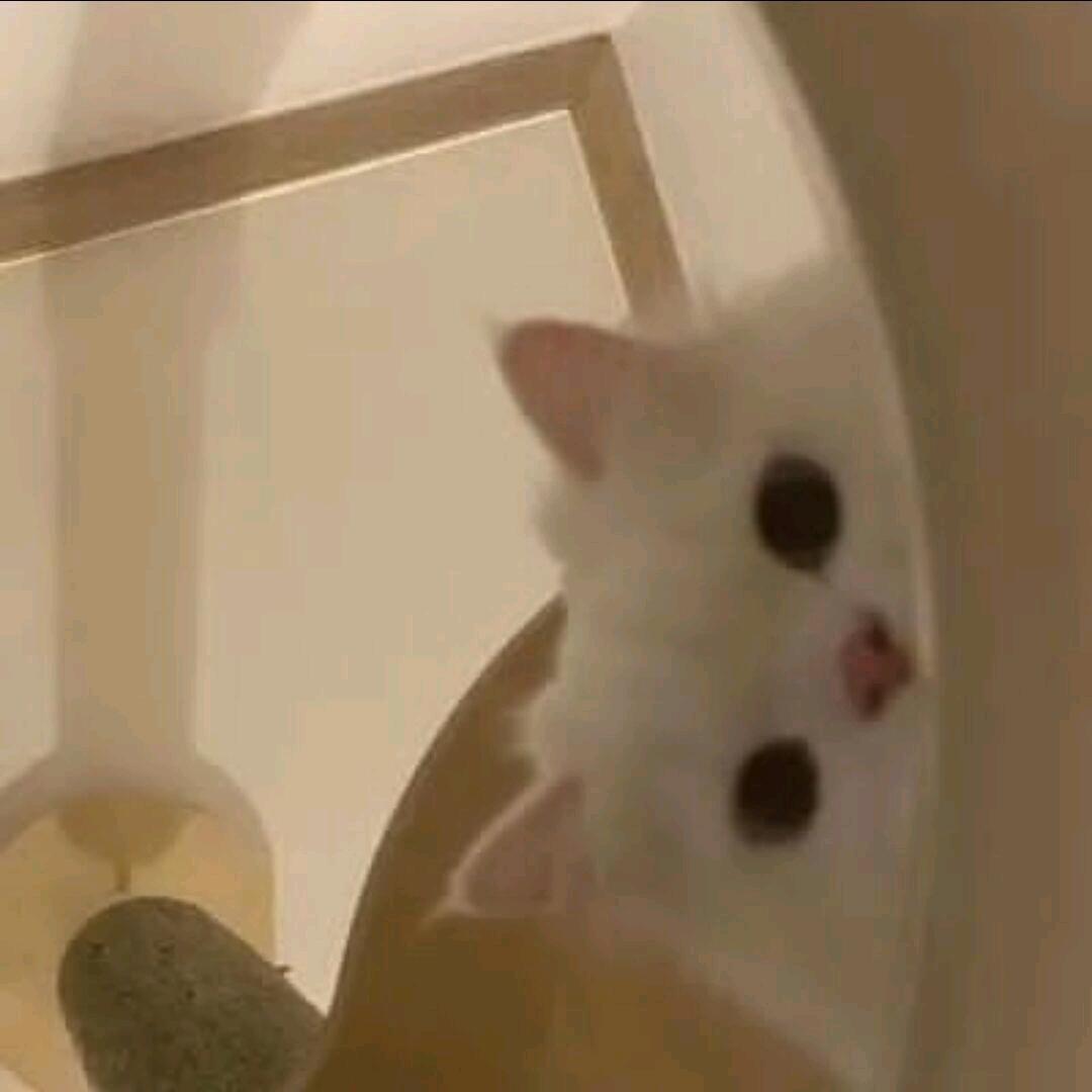 111111111