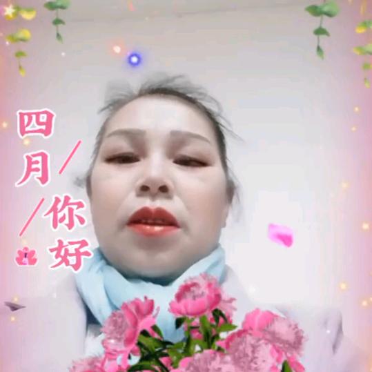 万向花开