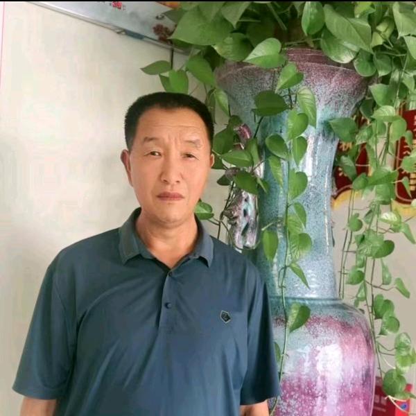 龙哥生猪调运
