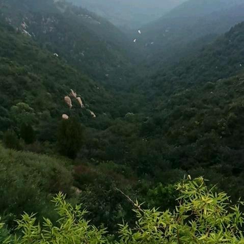 奋斗(做真实的自己)