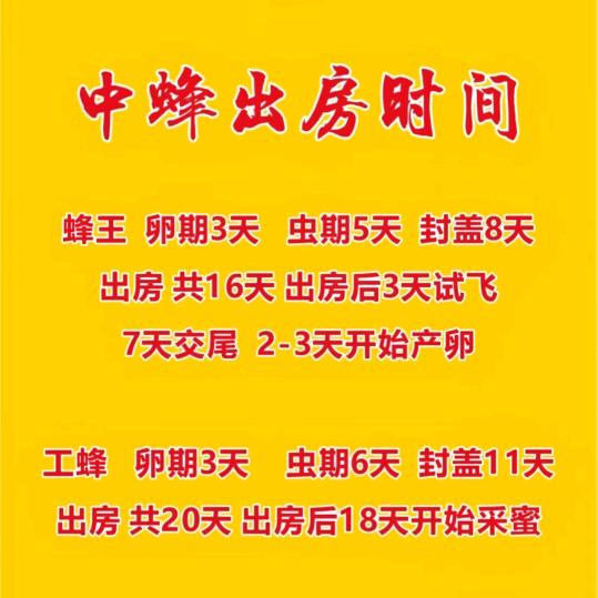 养蜂小唐   曲靖罗平场地