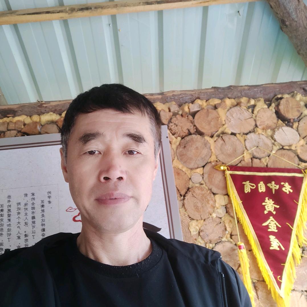 让心靠岸