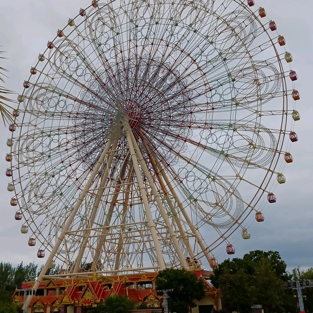 外向阳光