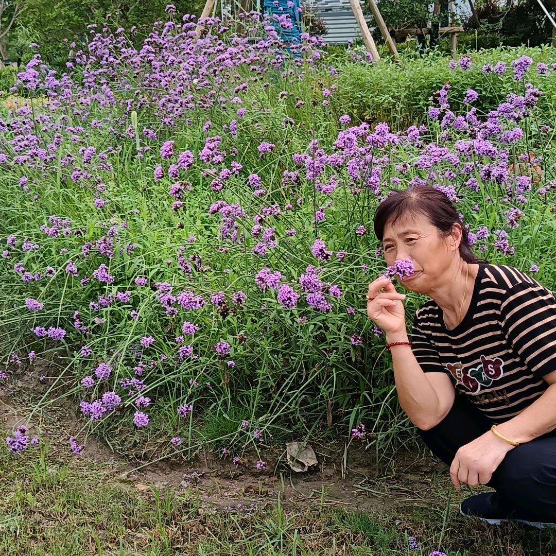 秋天花香