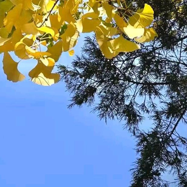 吕校长聊学习