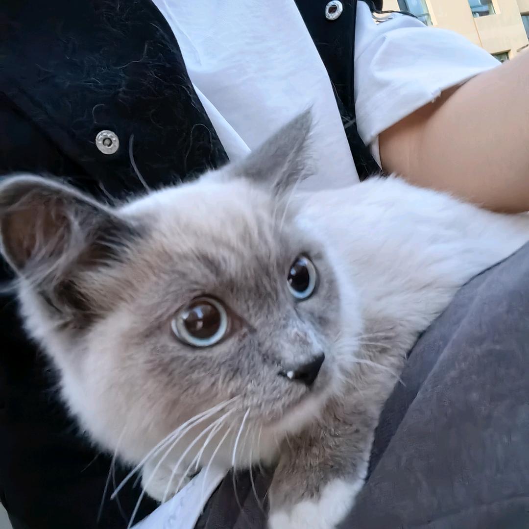 执念ꦿ❆ཽ：