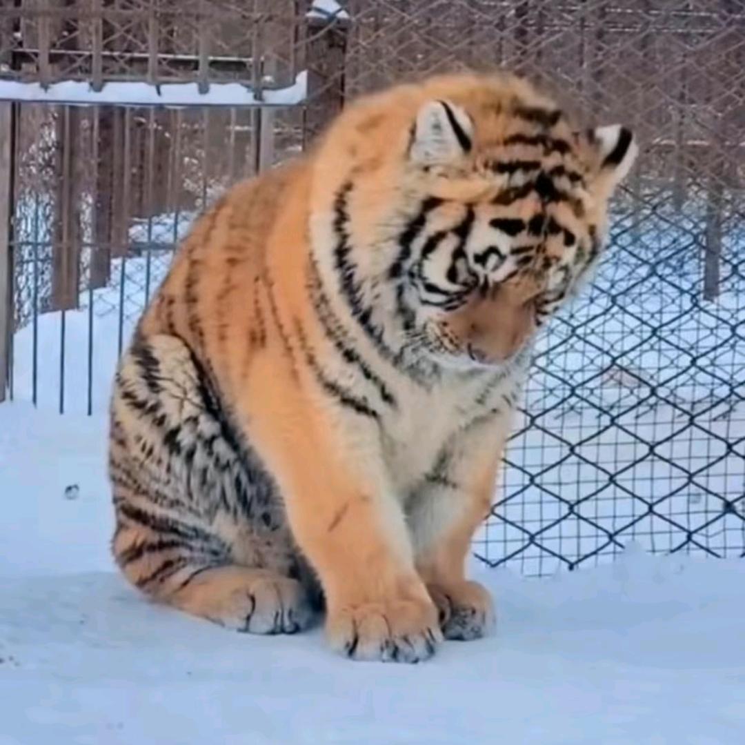 七七七