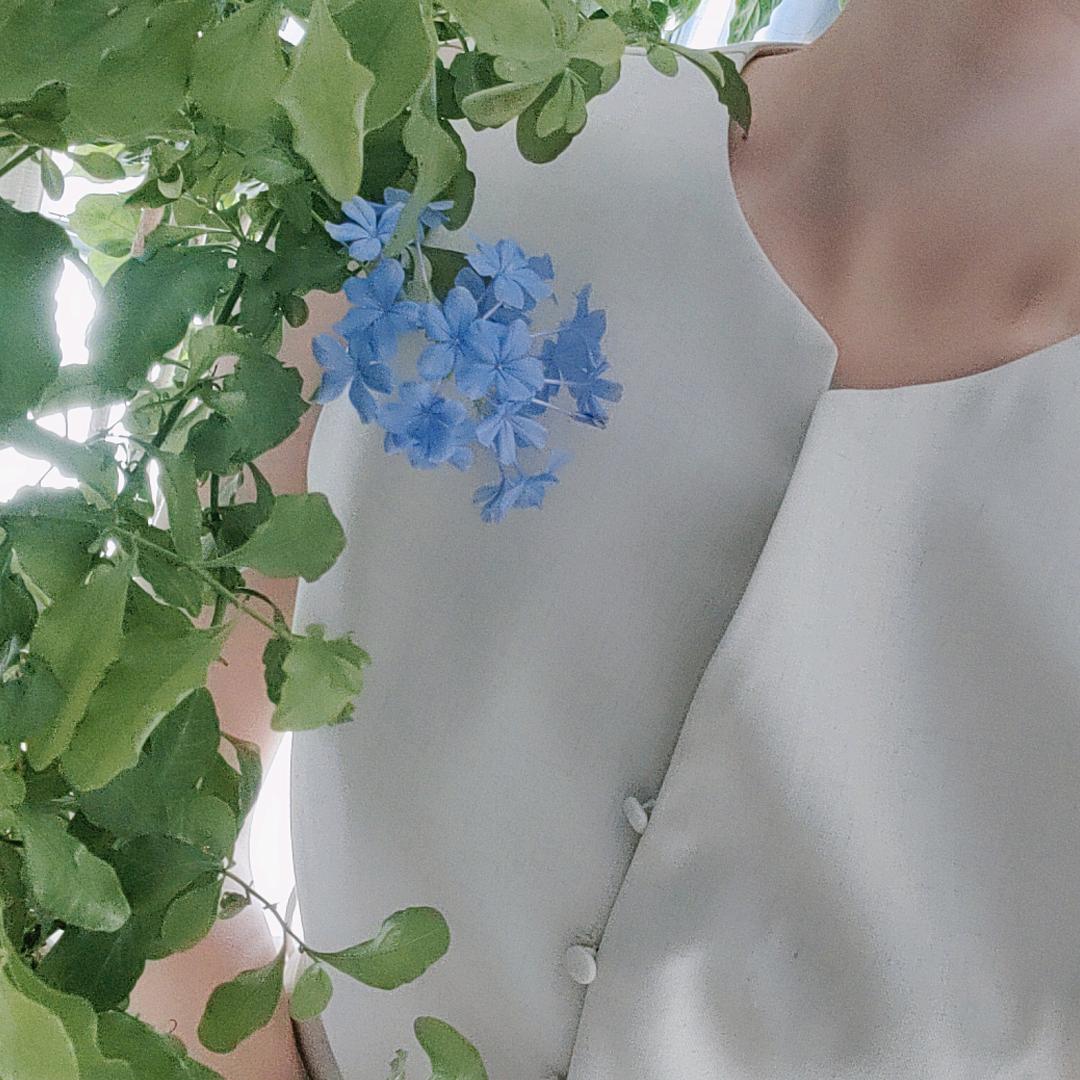 马小诺🌸