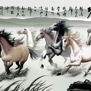 野钓一哥