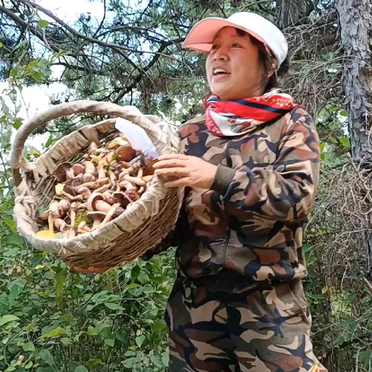 会姐在草原