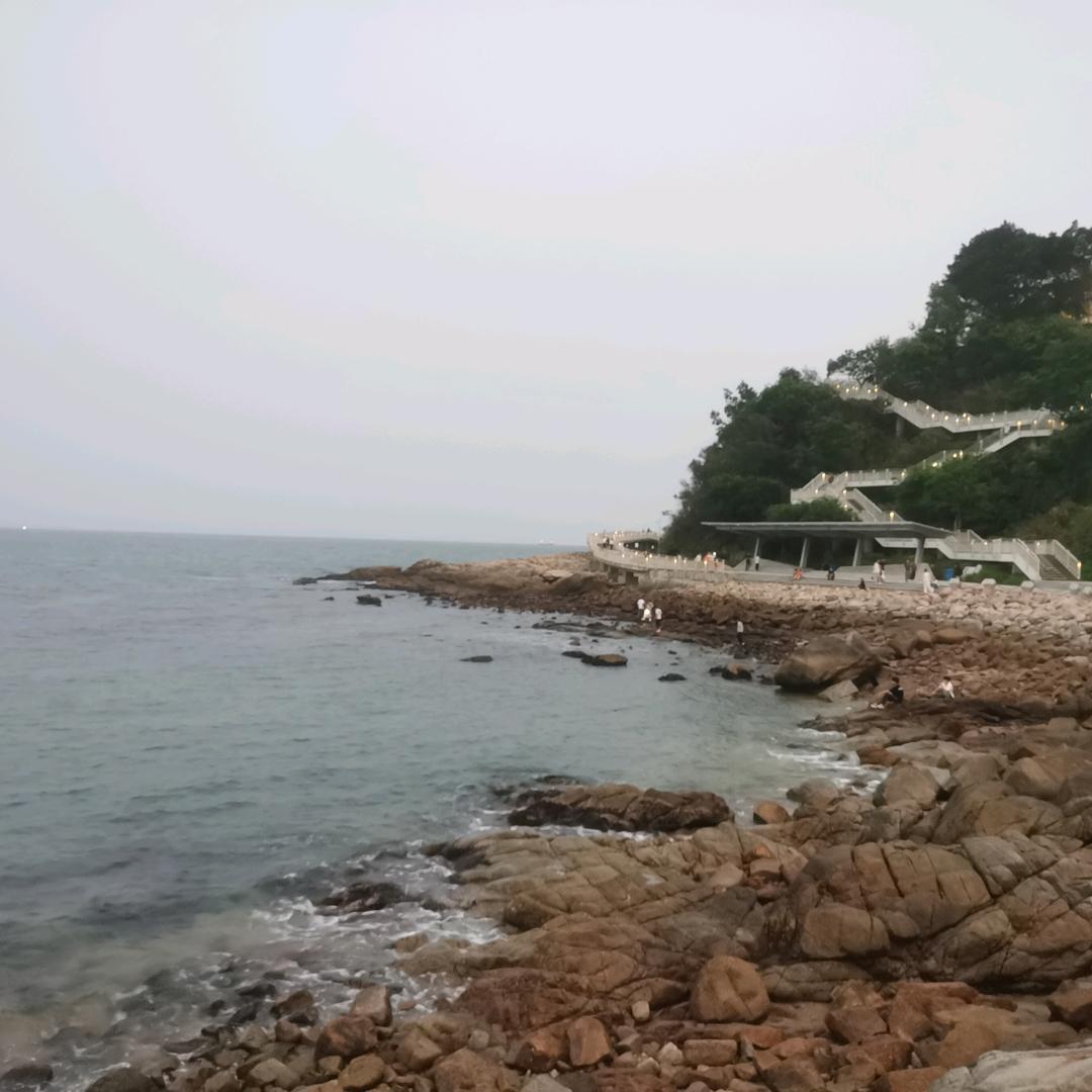 蝉声最了解夏天