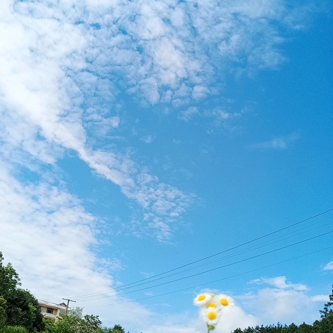 楚楚动人生生不息